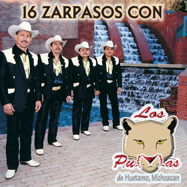 Pumas De Huetamo, Michoacan (CD 16 Zarpazos) ARCD-401