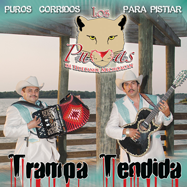Pumas De Huetamo, Michocan (CD Trampa Tendida) AR-527