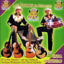 Pumas De Huetamo, Michoacan  (CD 26 Exitos Vol. 1) #7679