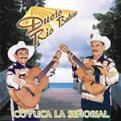 Rio Balsas (CD Coyuca La Senorial) ARCD-239