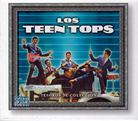 Teen Tops (3CD Tesoros De Coleccion) Sony-516788