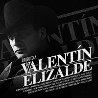 Tributo a Valentin Elizalde (CD Varios Artistas) Fonovisa-288957 N/AZ