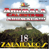 18 Zapateados (CD Ahumala Calentano) BRCD-349