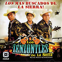Zenzontles De La Sierra (CD Los Mas Buscados De La Sierra) Ciudad-148